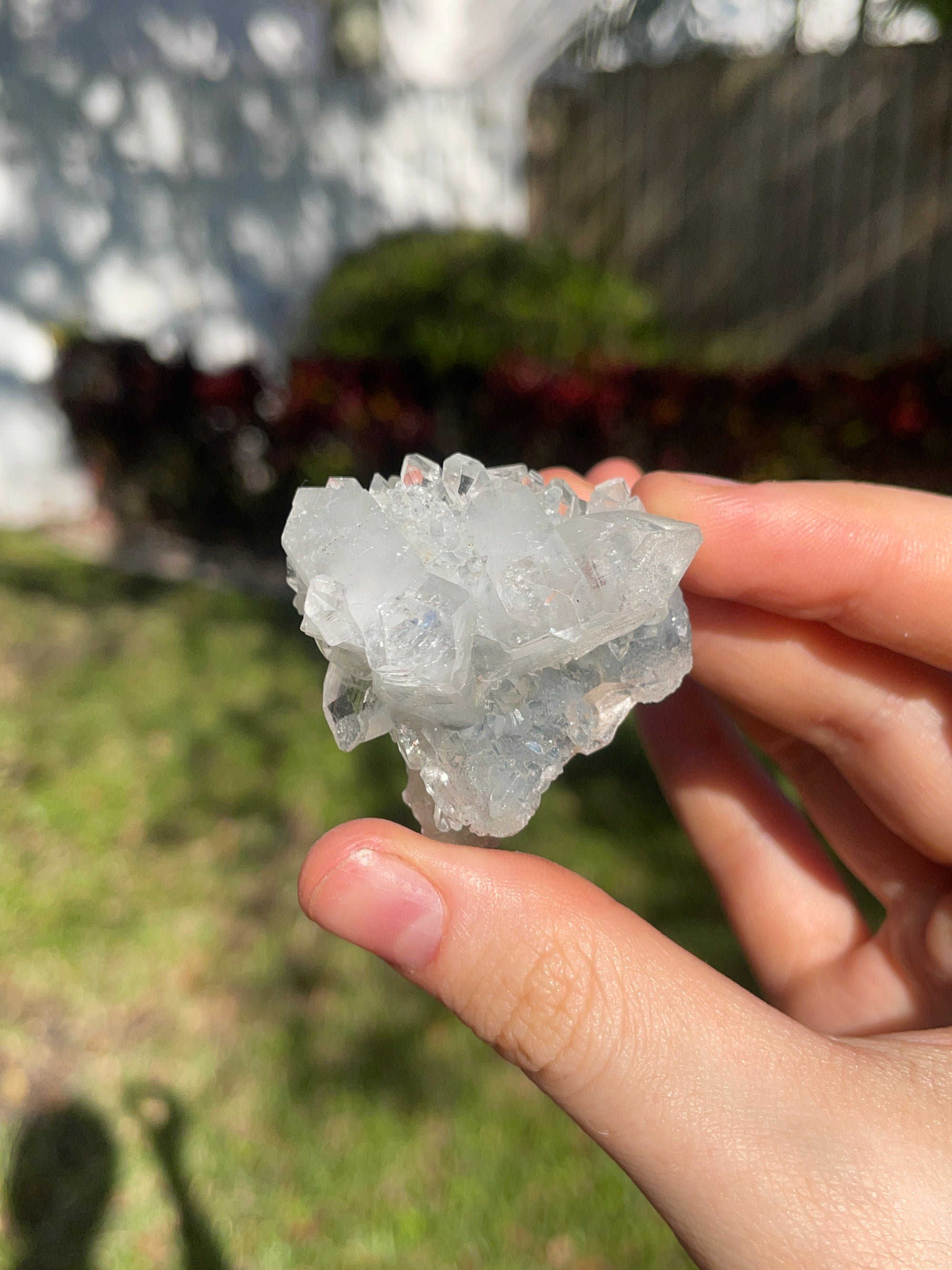 blue chalcedony specimen with apophyllite from Nashik India healing crystals home decor